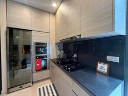 Belgravia Villas (D28), Terrace #566153741